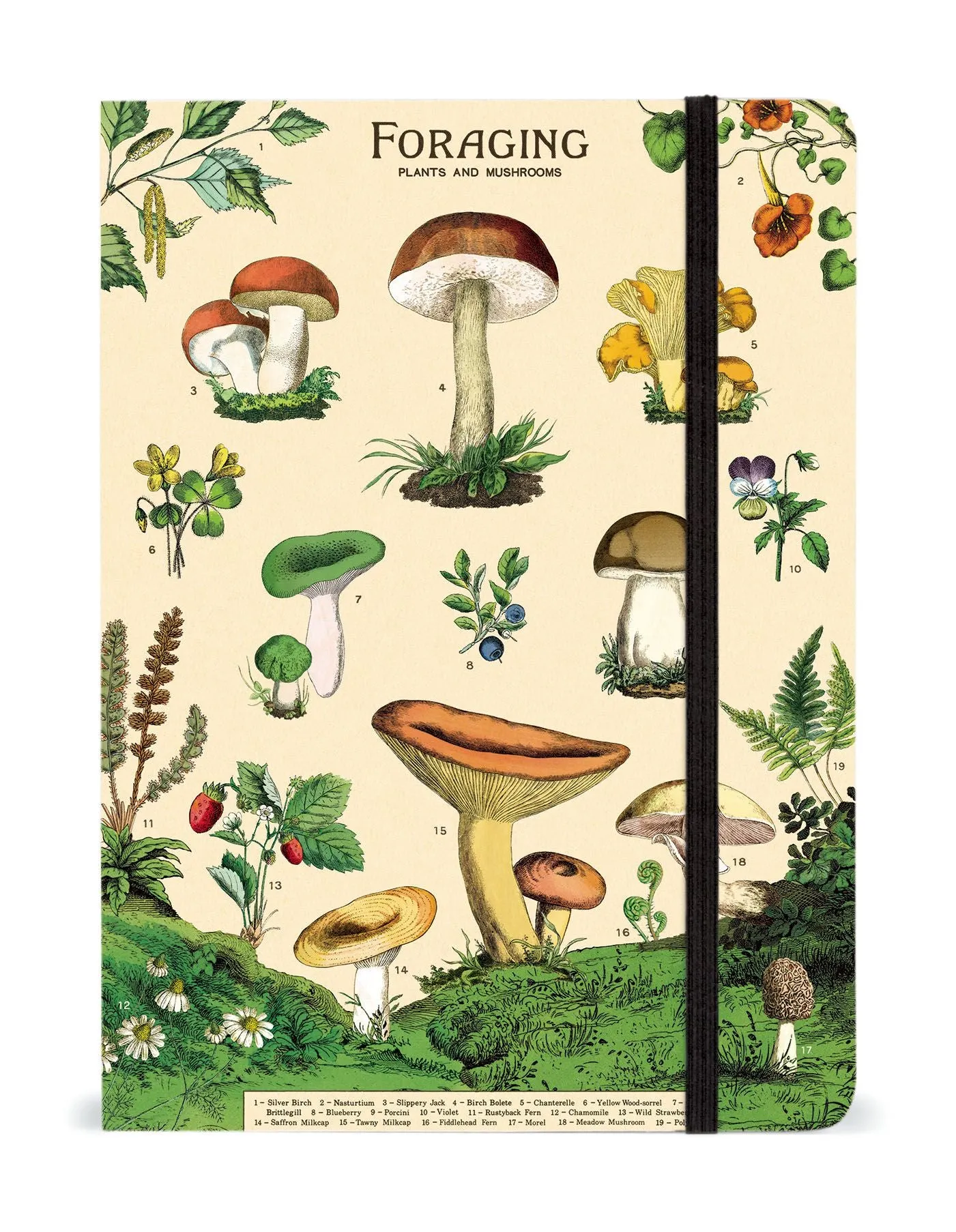 Cavallini Notebook Large – Foraging