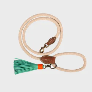 Dog Leash Sand