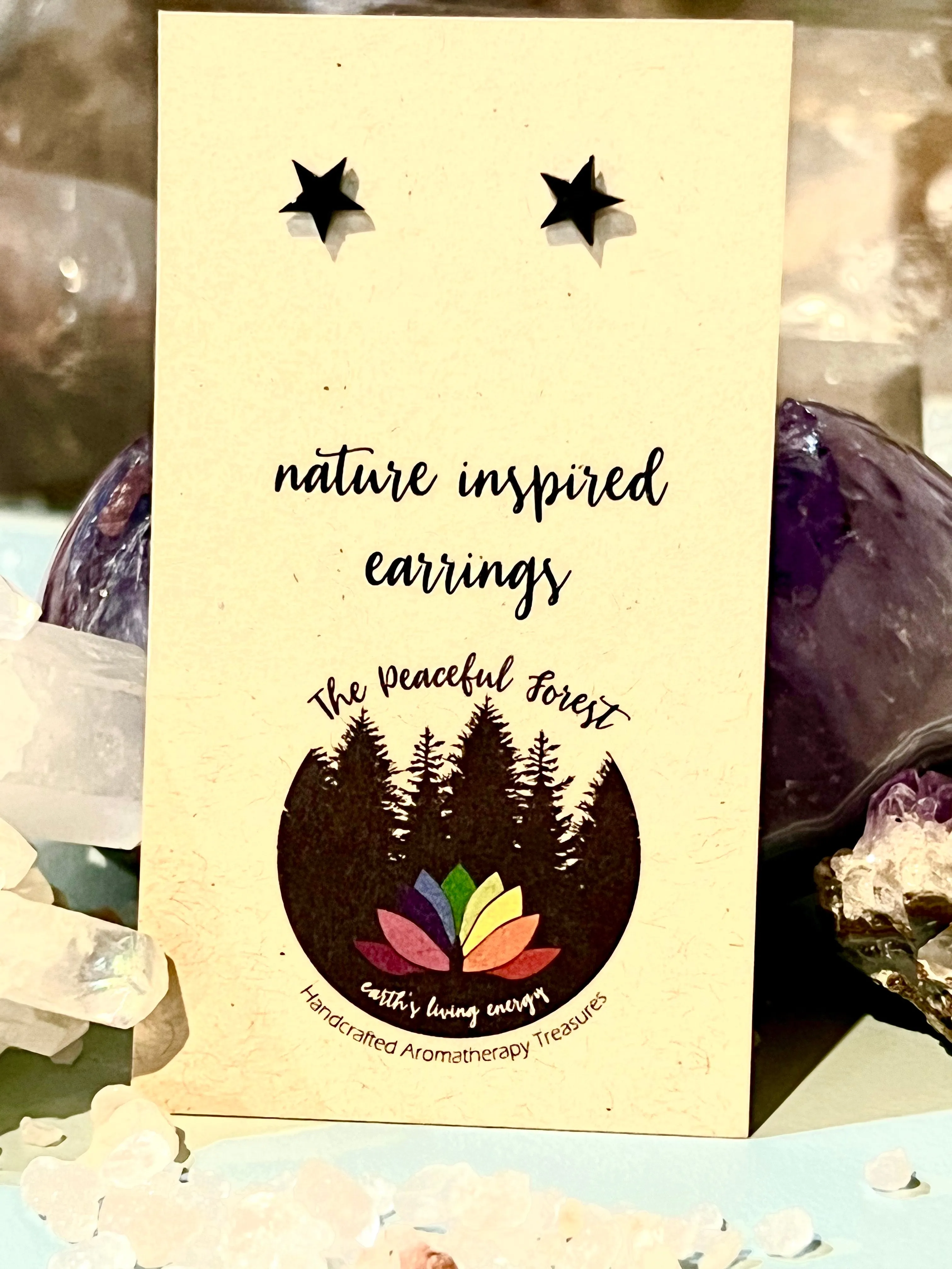 Earrings Nature Inspired Earrings Small Stars