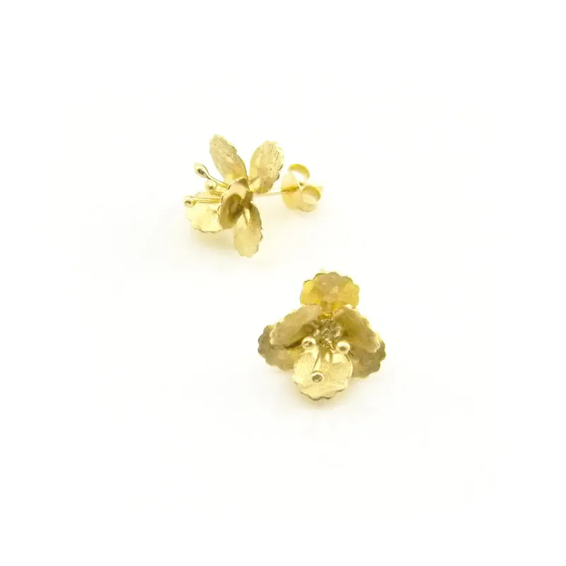 Eschscholzia Gold Studs