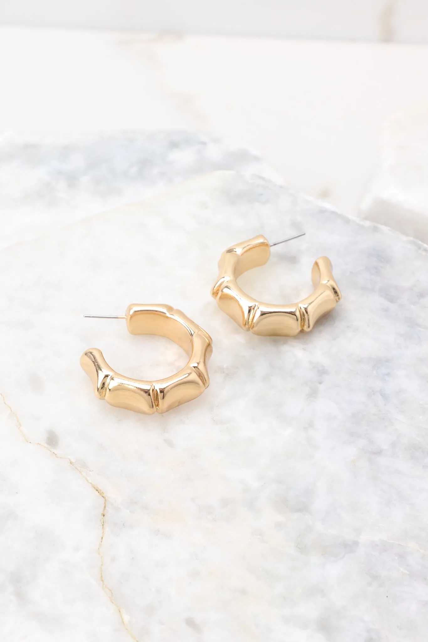 Eternally Perfect Gold Hoop Earrings