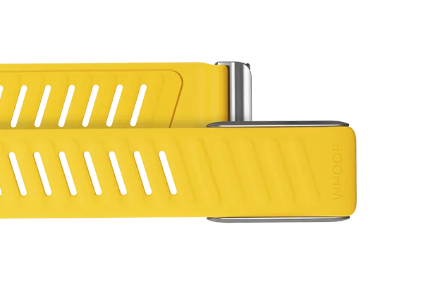 Flash SportFlex Band