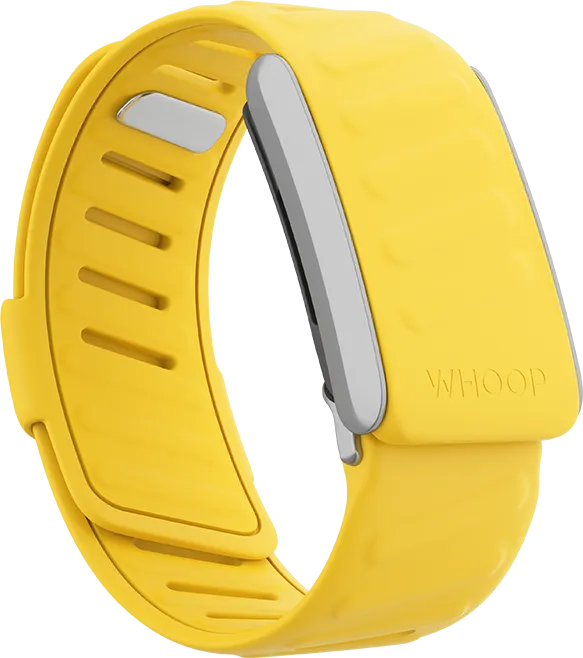 Flash SportFlex Band