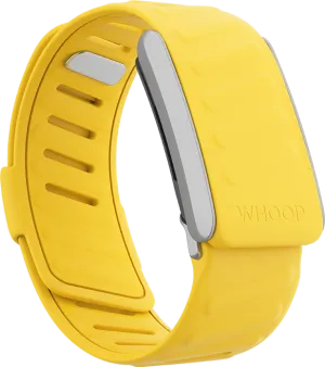 Flash SportFlex Band