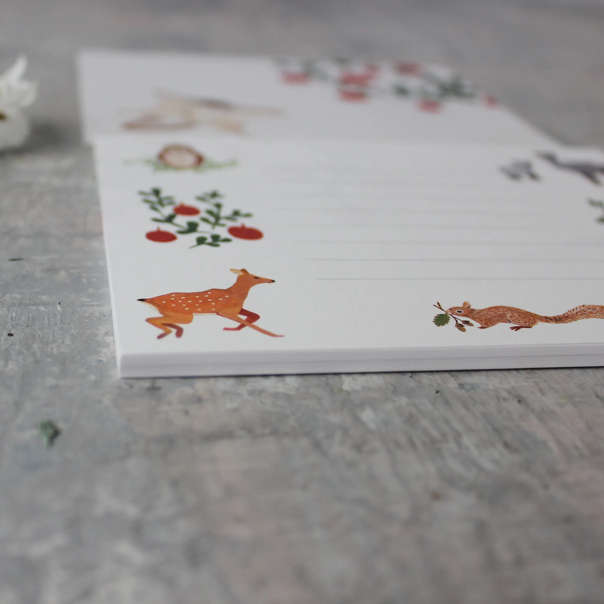 Little Nature Notelet Sets