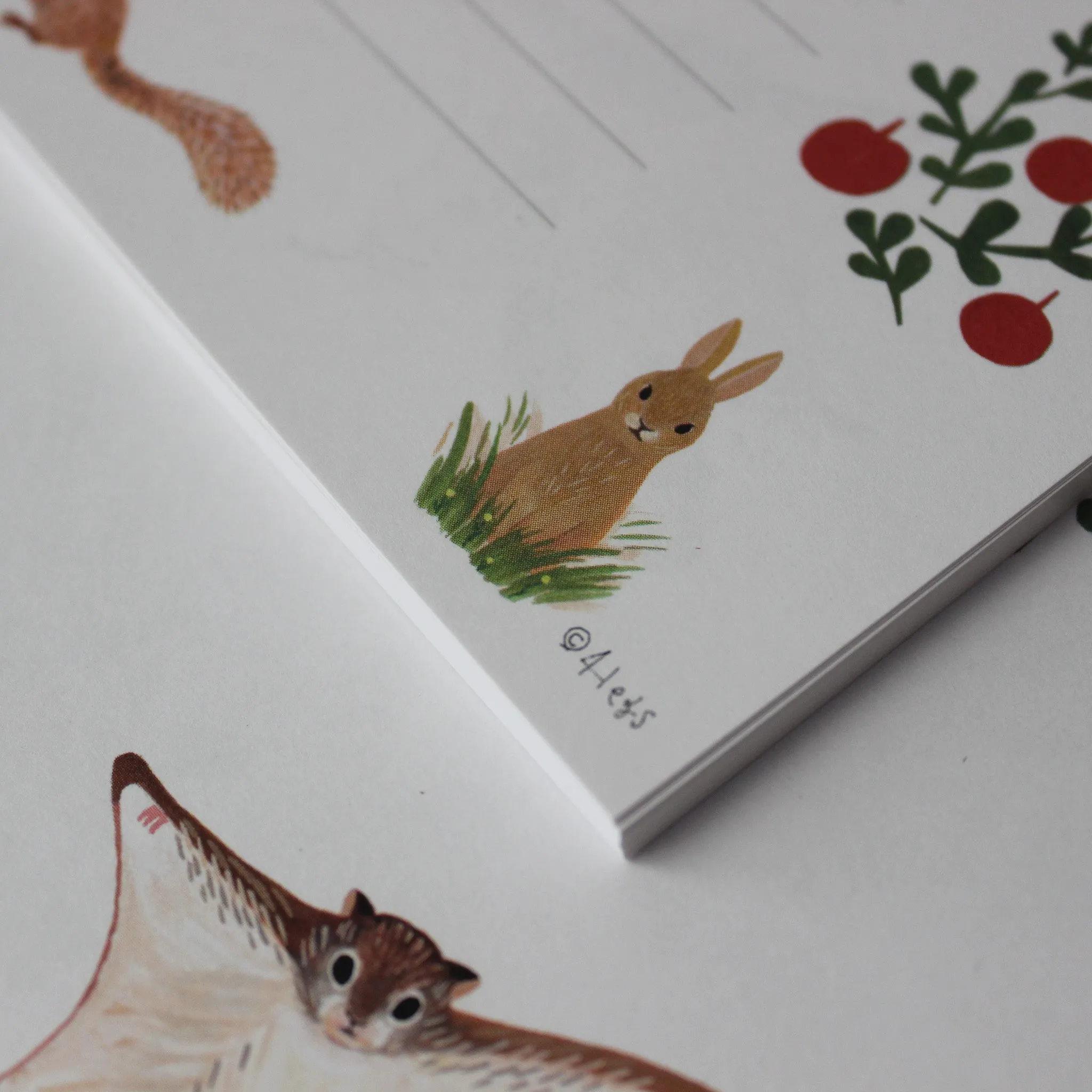 Little Nature Notelet Sets