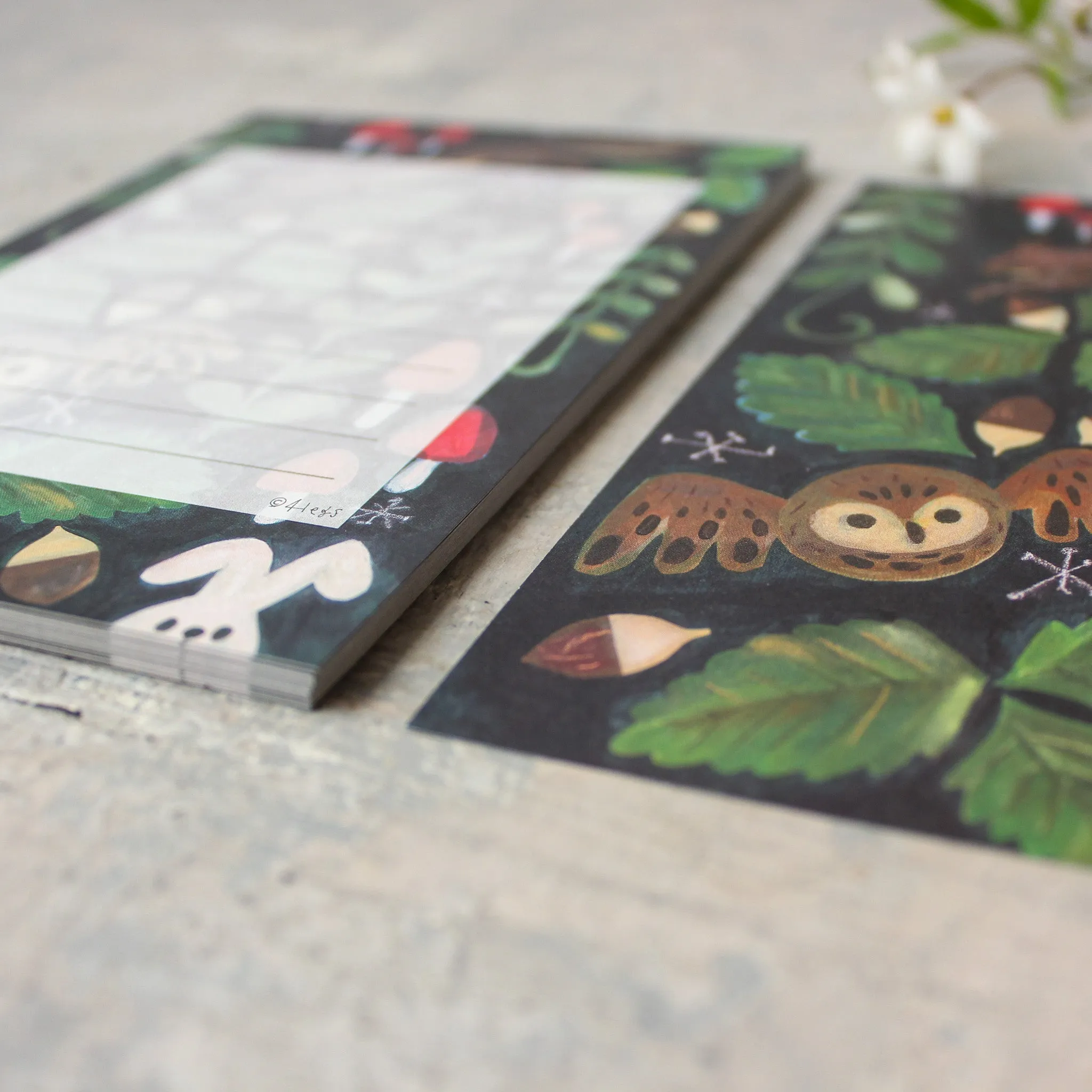 Little Nature Notelet Sets