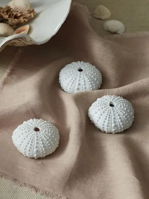 Set of 3 Faux Sea Urchin